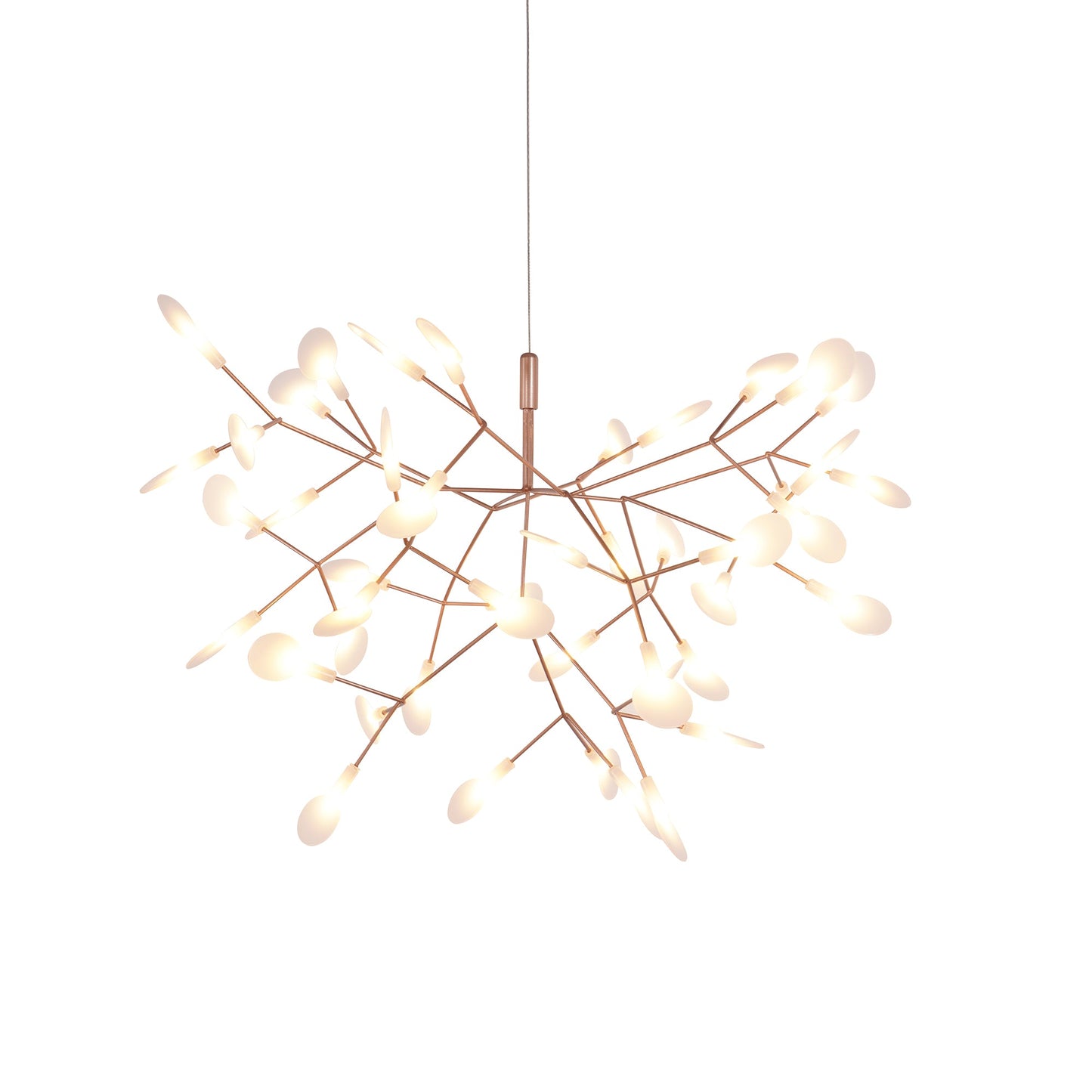 Heracleum Chandelier
