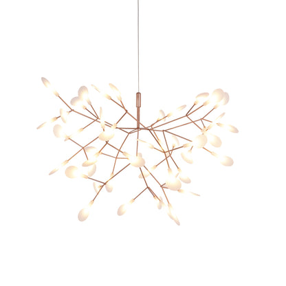 Heracleum Chandelier
