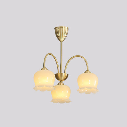 Cavella Chandelier