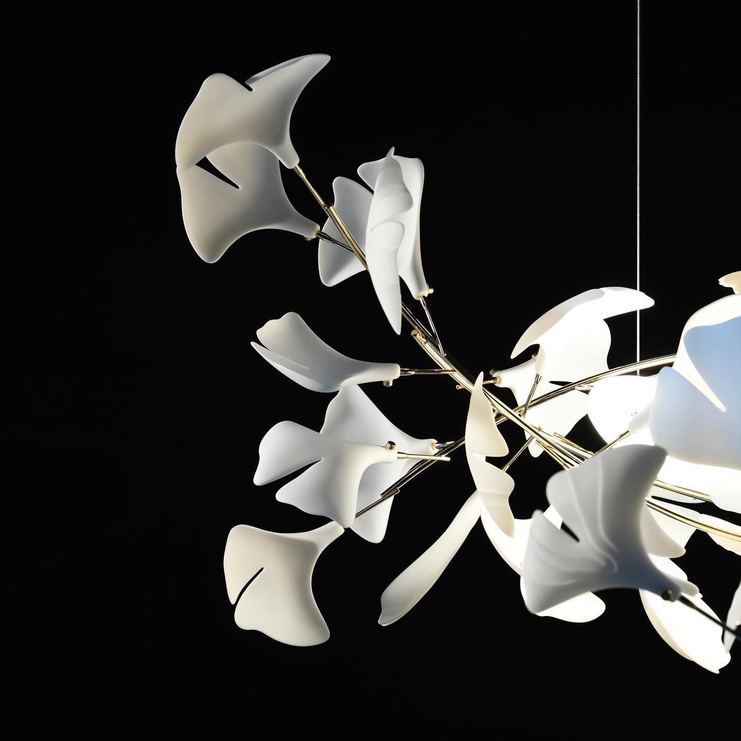 Gingko Chandelier O