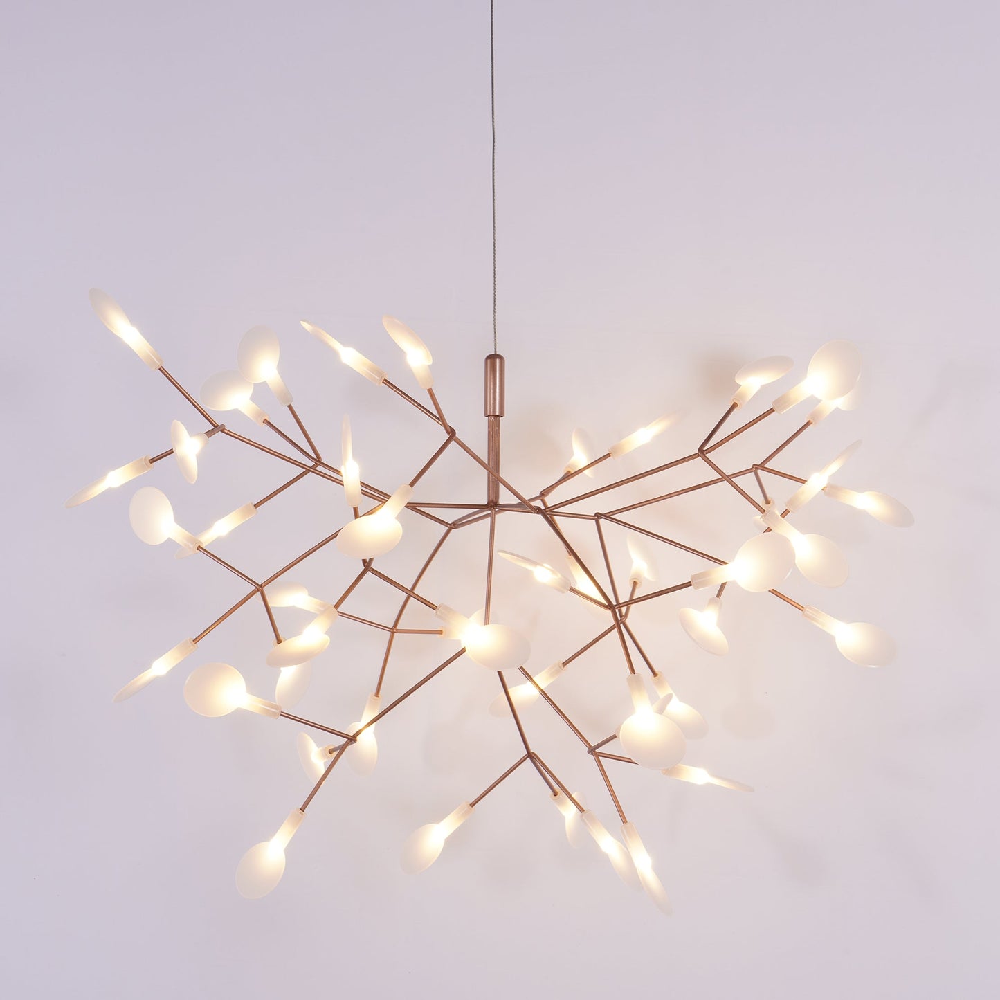 Heracleum Chandelier