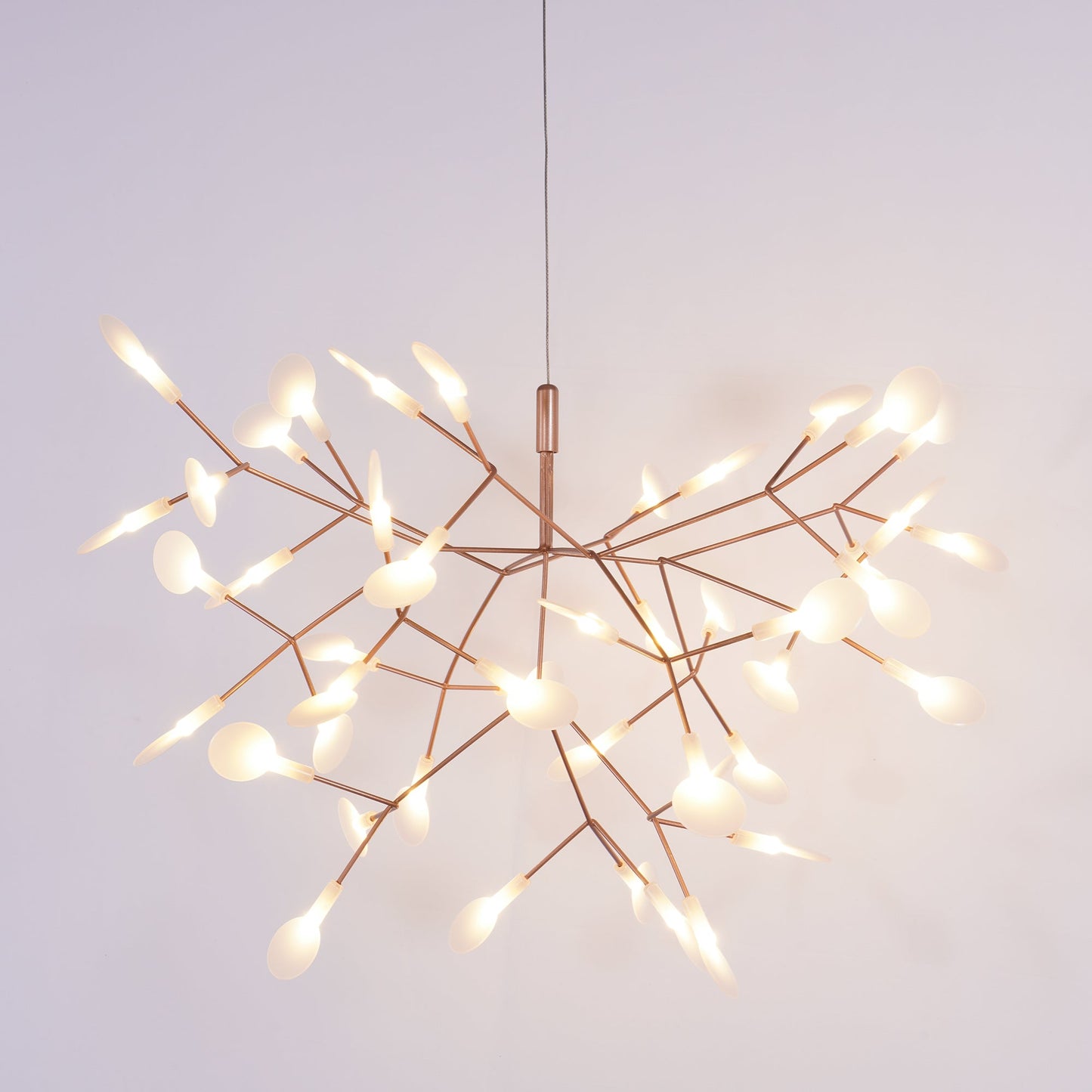 Heracleum Chandelier