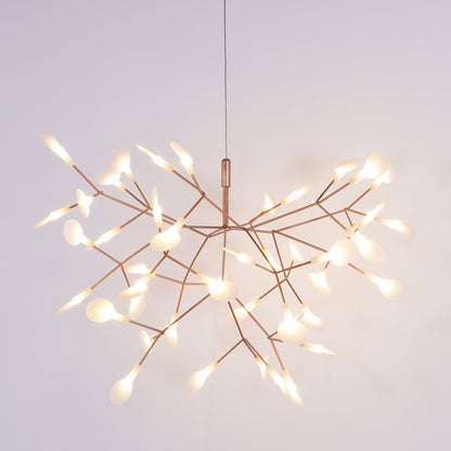 Heracleum Chandelier