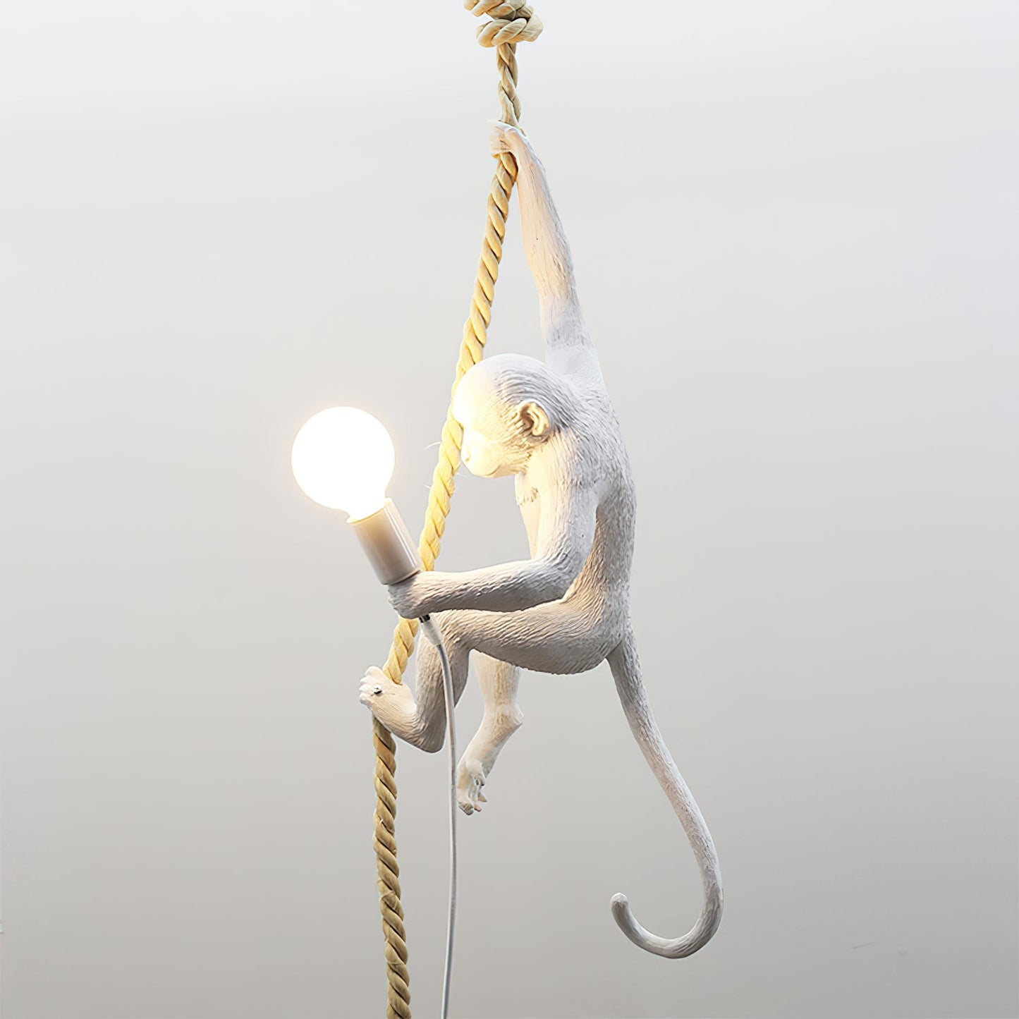 Monkey Pendnant Lamp