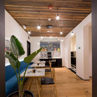 Lines free-form Pendant light