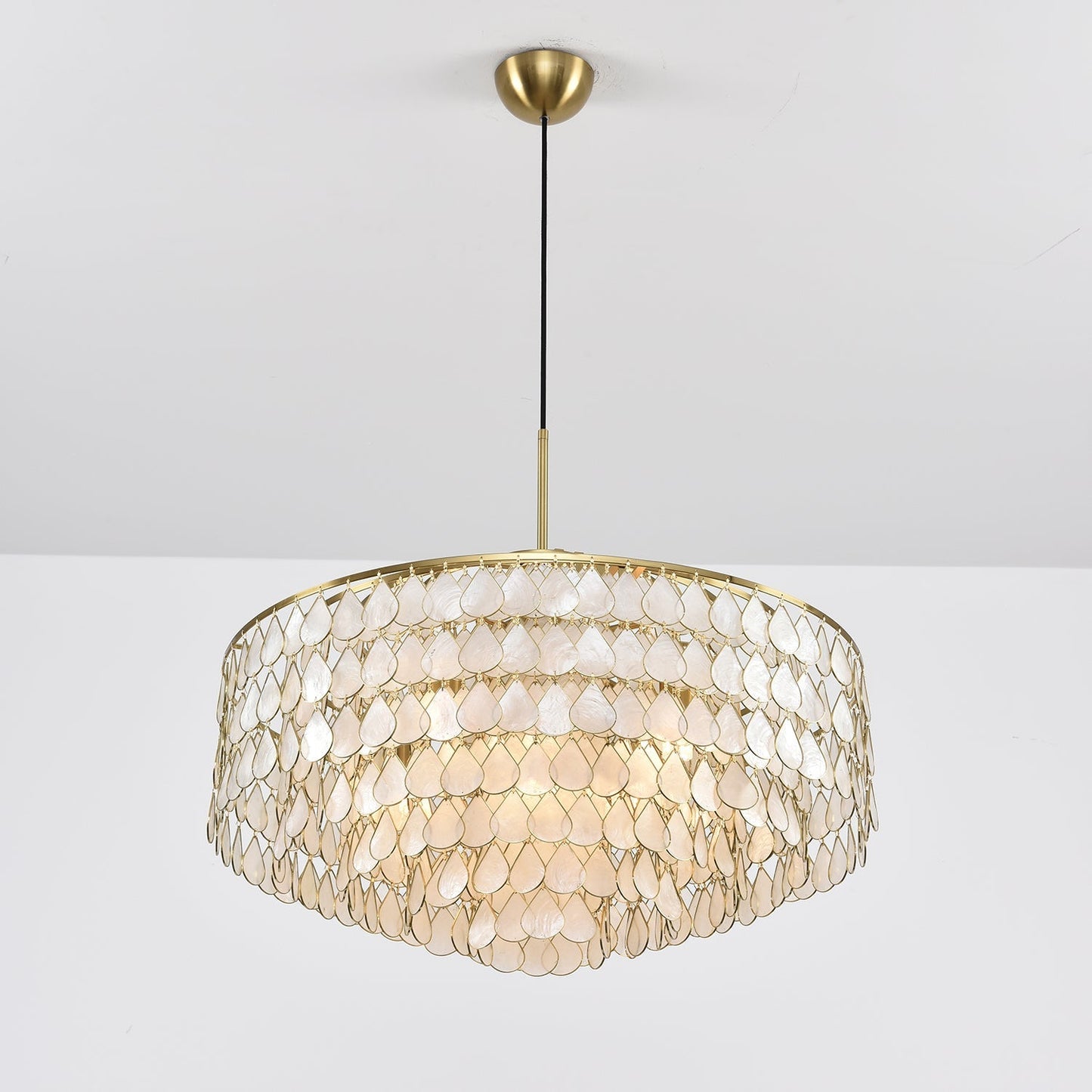 Abbington Shell Chandelier