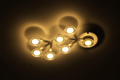 LED Net Ceiling Lamp