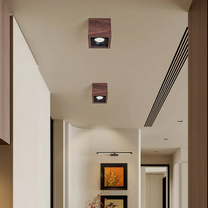 Sollox Ceiling Light