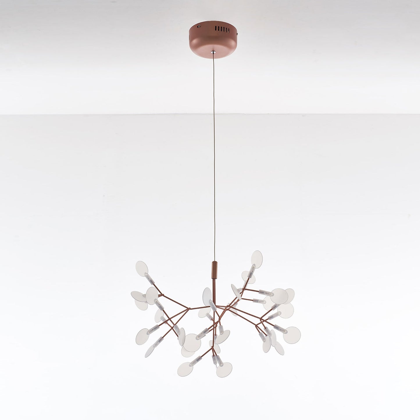 Heracleum Chandelier