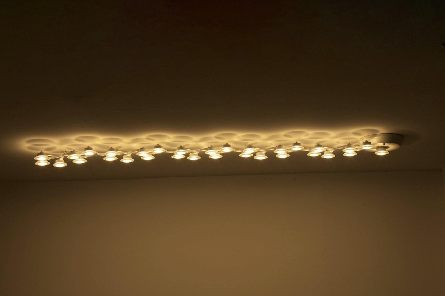 LED Net Ceiling Lamp