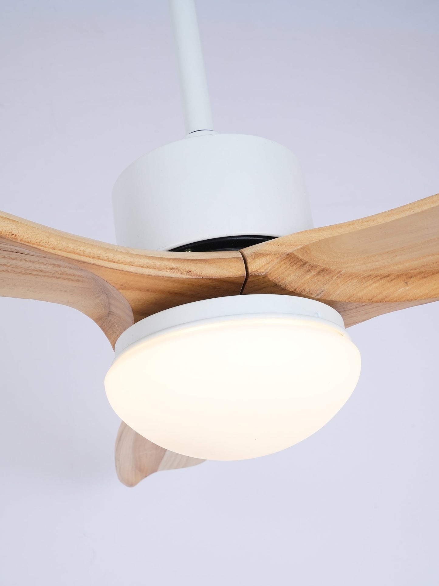 Harborough 3 Ceiling Fan Light