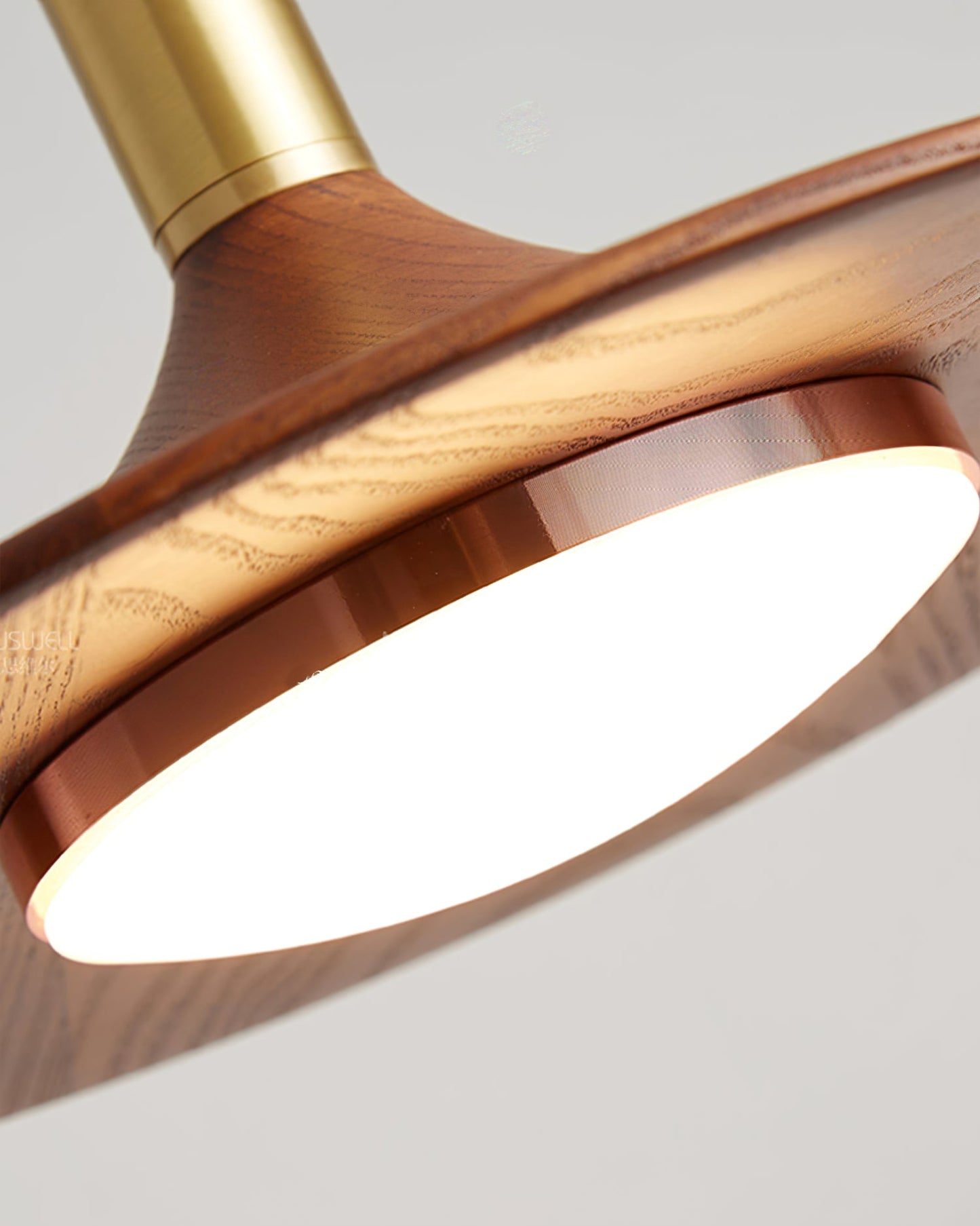Cheek Pendant Lamp