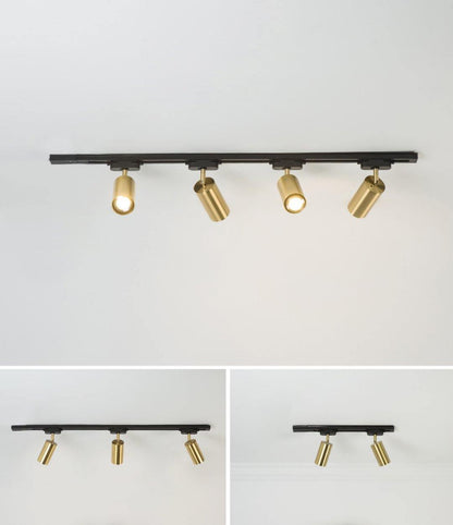 Modern Delia Ceiling Lamp