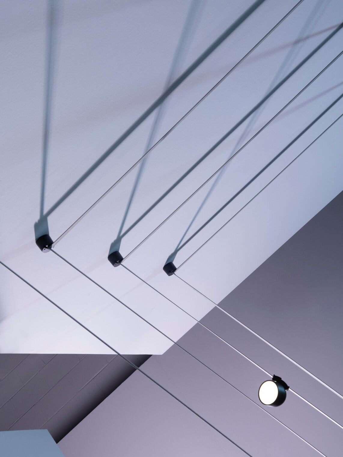 Plusminus Semispheres Leather Pendant Lamp