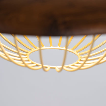 Kasa Pendant Lamp