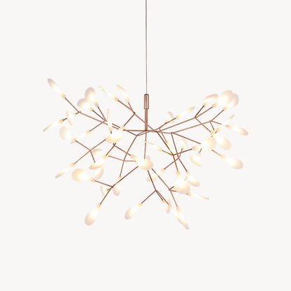 Heracleum Chandelier