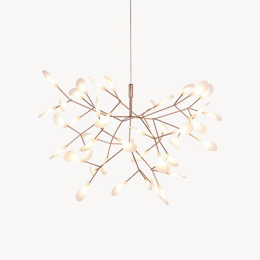 Heracleum Chandelier