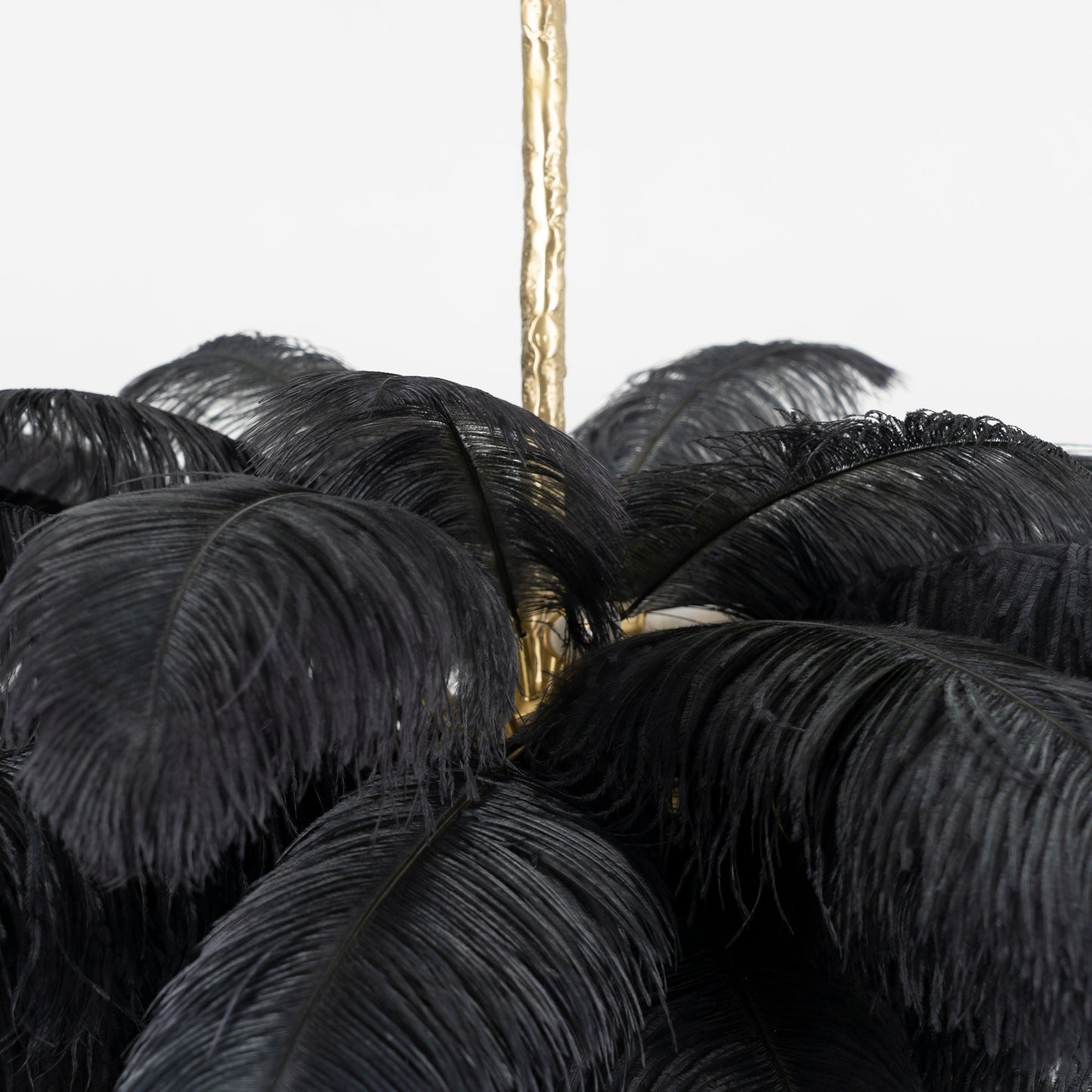 Ostrich Feather Chandeliers
