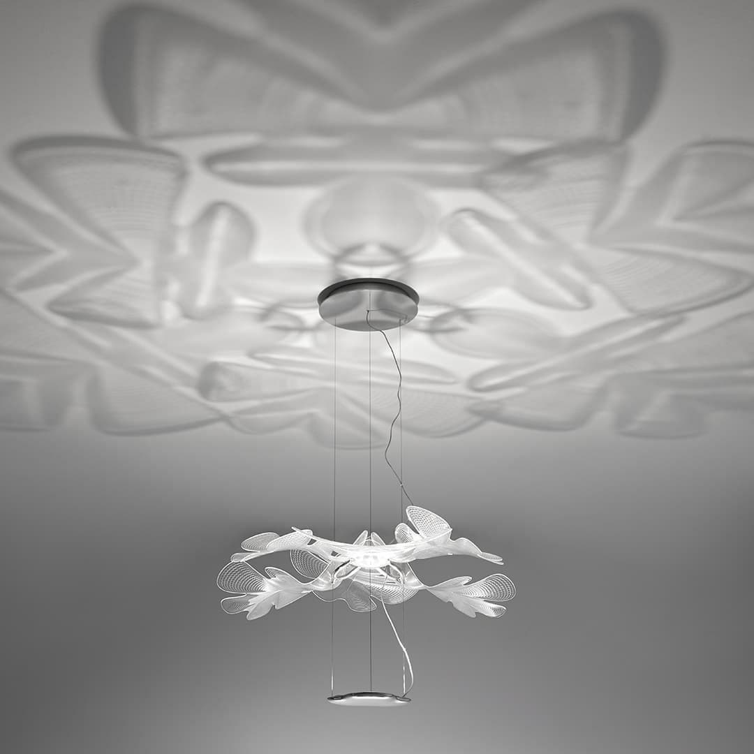 Chlorophilia Suspension Light