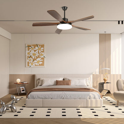Keltis 48"/52" Ceiling Fan Light