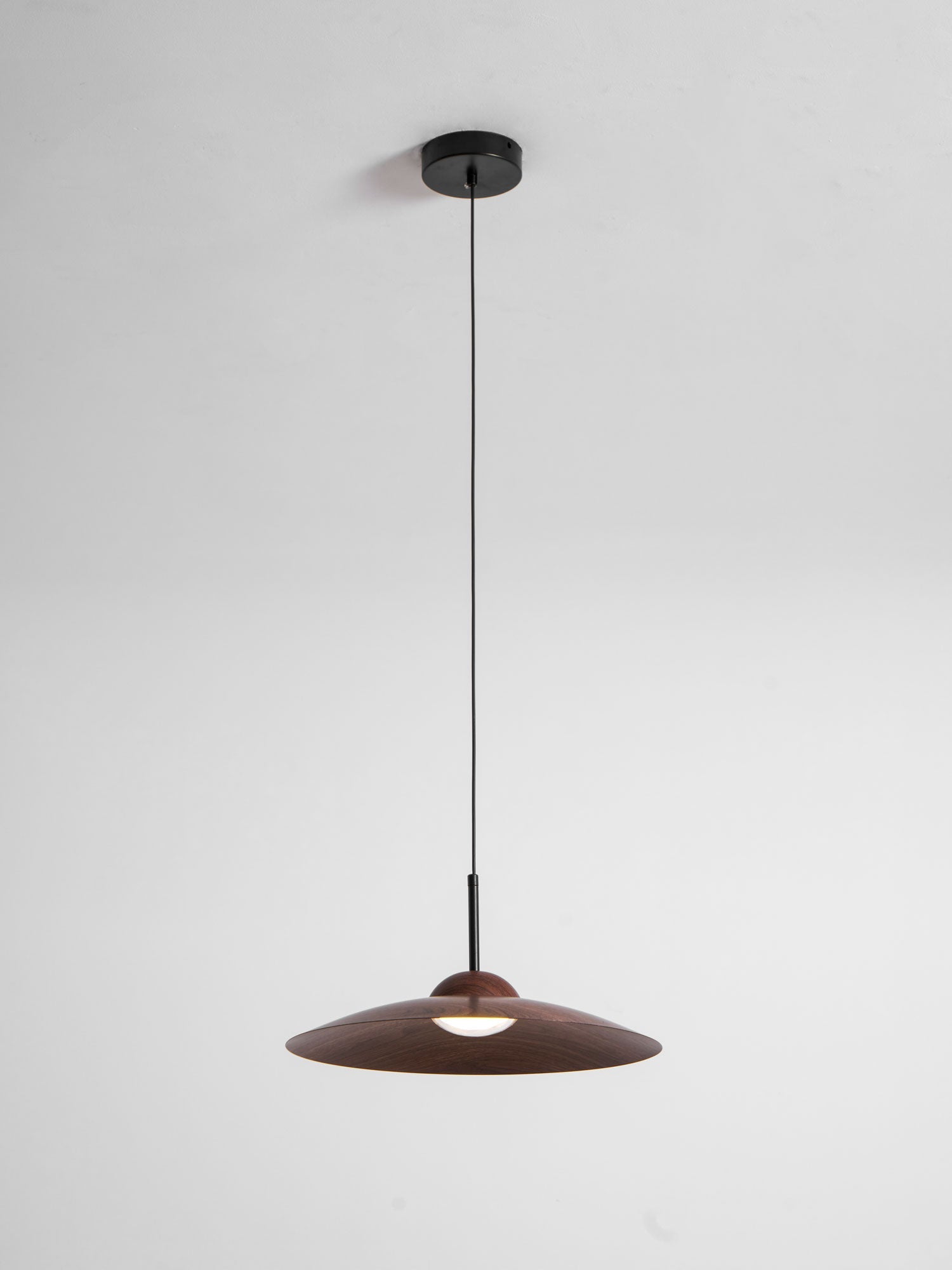 Arcadian Pendant Light