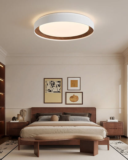 Arco Acrylic Ceiling Light