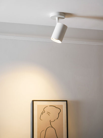 Calla Beam Spotlight