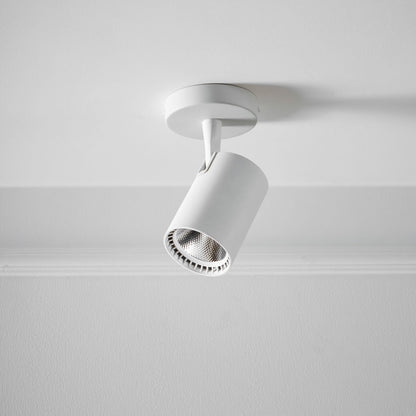 Calla Beam Spotlight