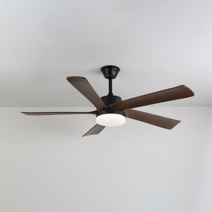Auralin Breeze Ceiling Fan Light