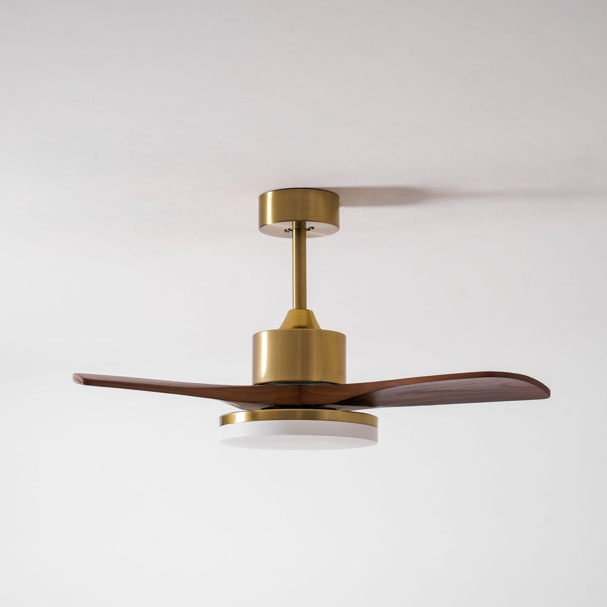 Aurevo Ceiling Fan Light