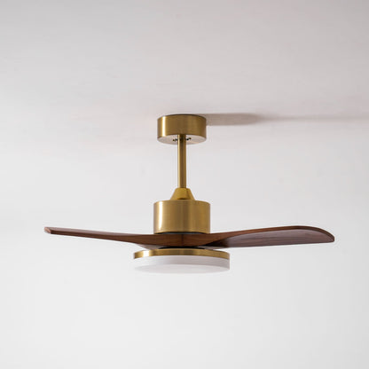 Aurevo Ceiling Fan Light