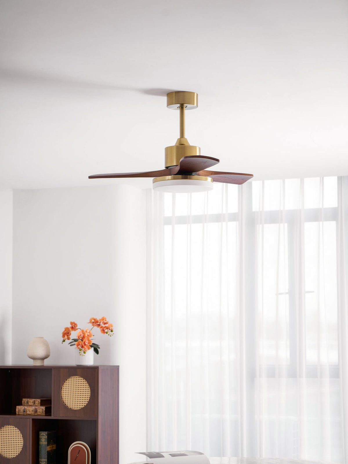 Aurevo Ceiling Fan Light