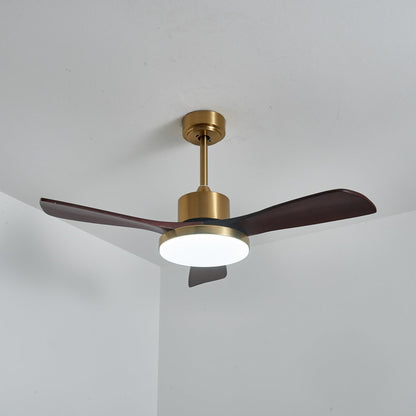 Aurevo Ceiling Fan Light