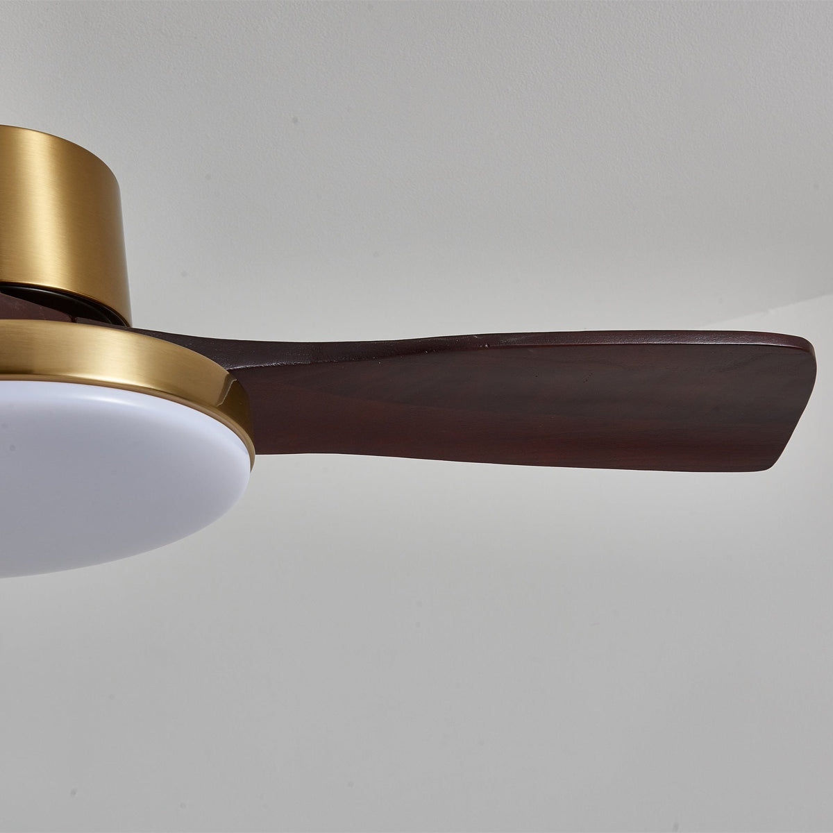 Aurevo Ceiling Fan Light