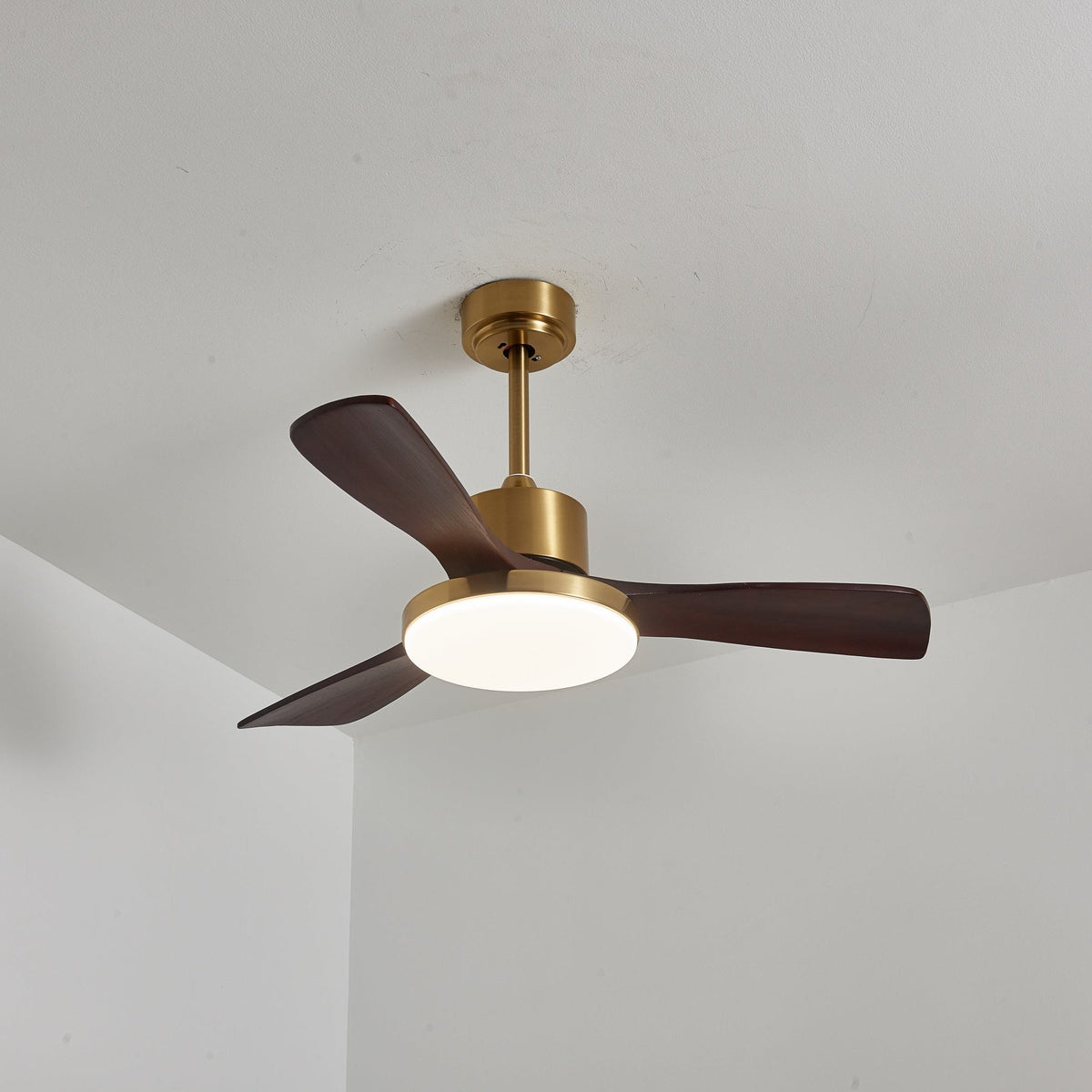 Aurevo Ceiling Fan Light