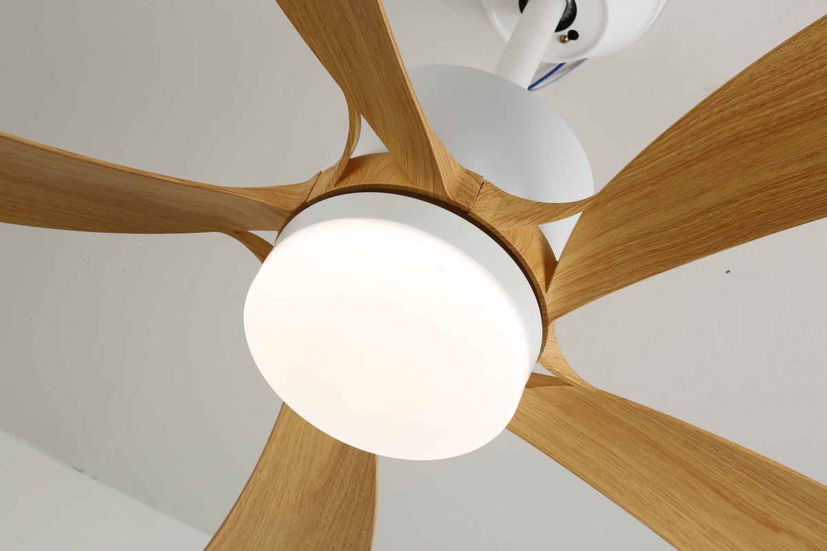 Avenli Ceiling Fan Light