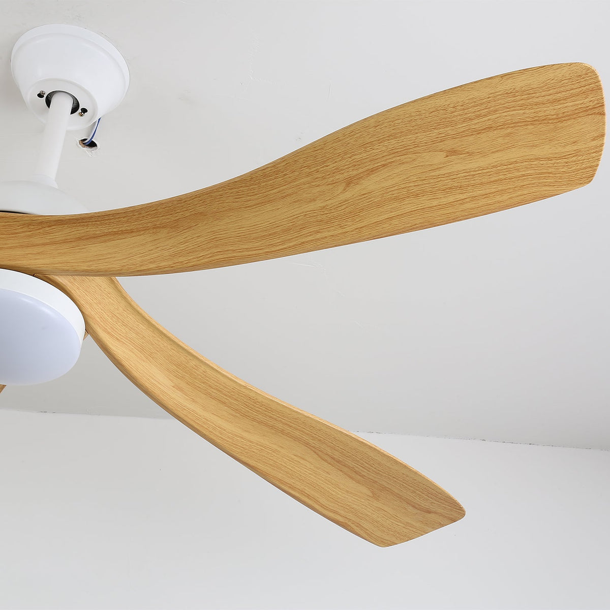 Avenli Ceiling Fan Light