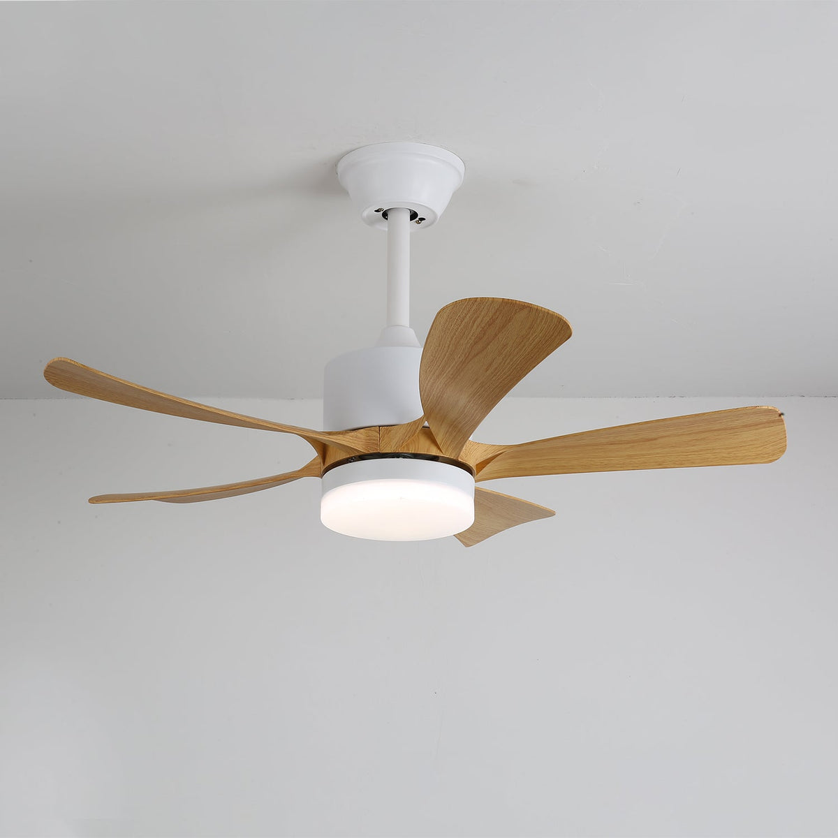 Avenli Ceiling Fan Light