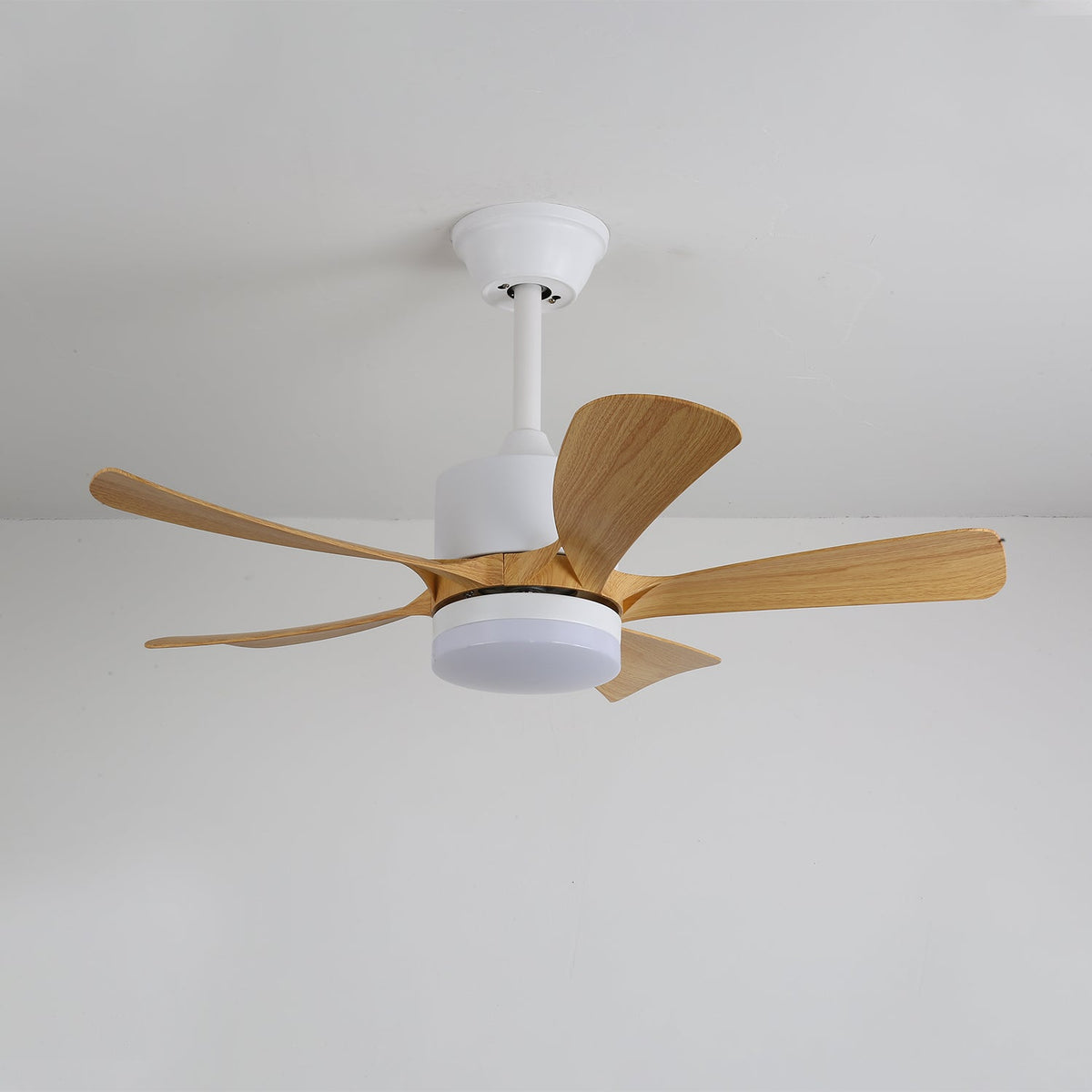 Avenli Ceiling Fan Light