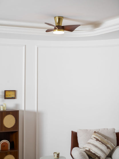 Breeze Lux Ceiling Fan Light