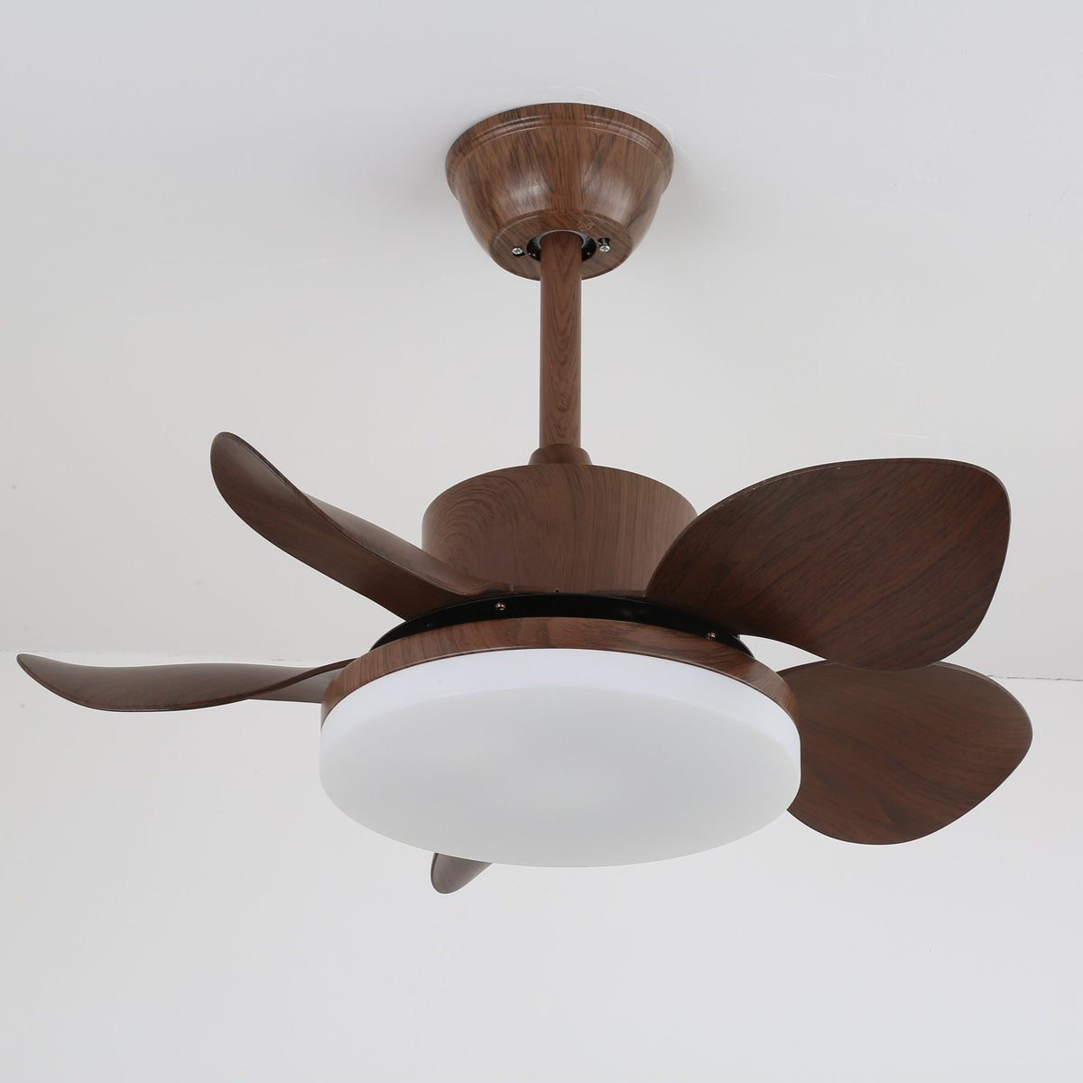 Terra Walnut Ceiling Fan Light