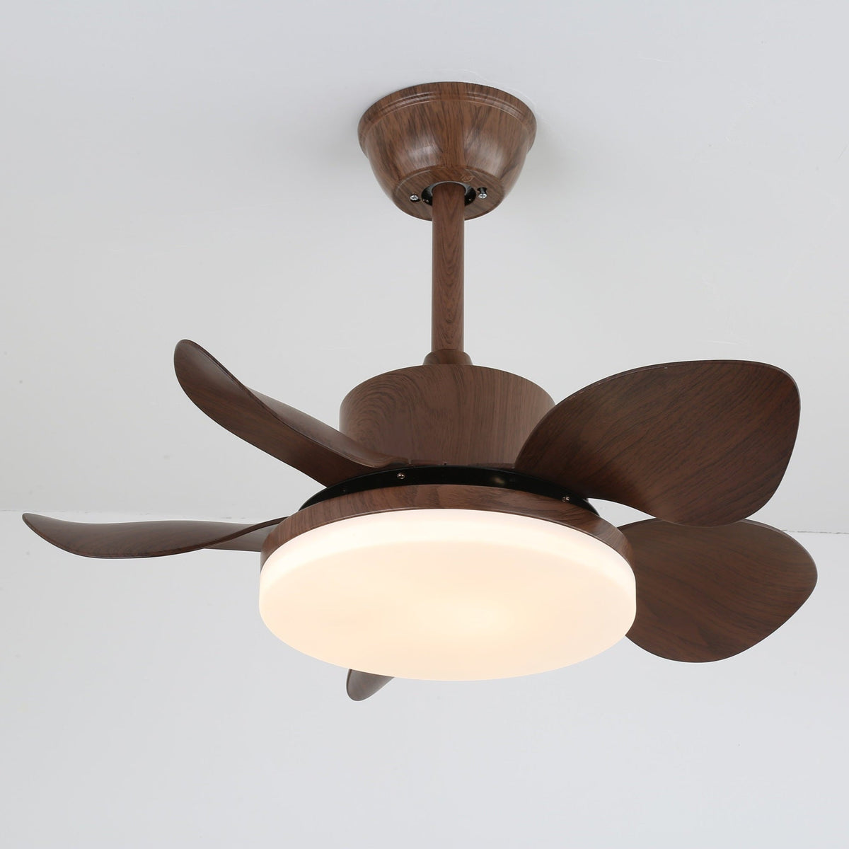 Terra Walnut Ceiling Fan Light