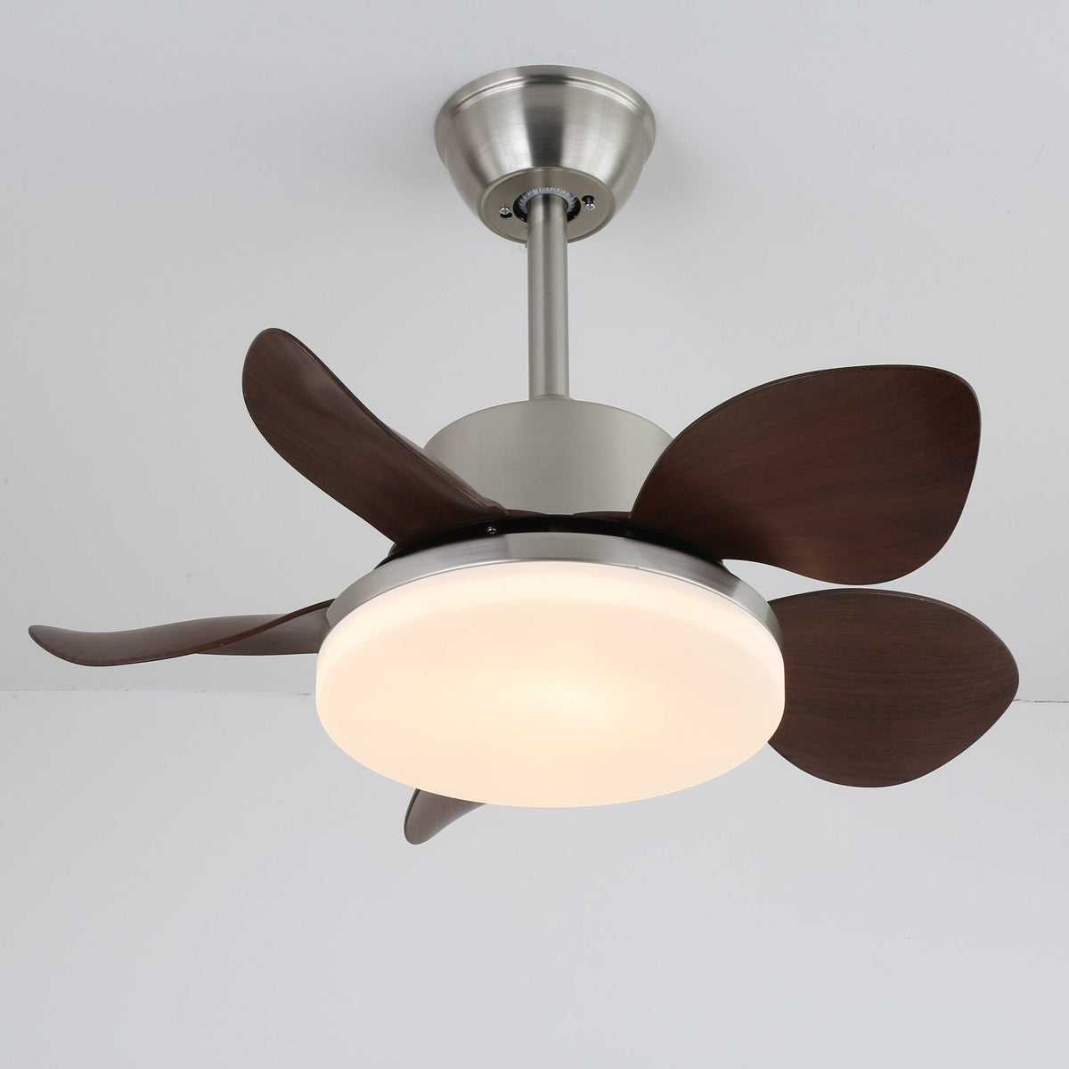 Terra Walnut Ceiling Fan Light