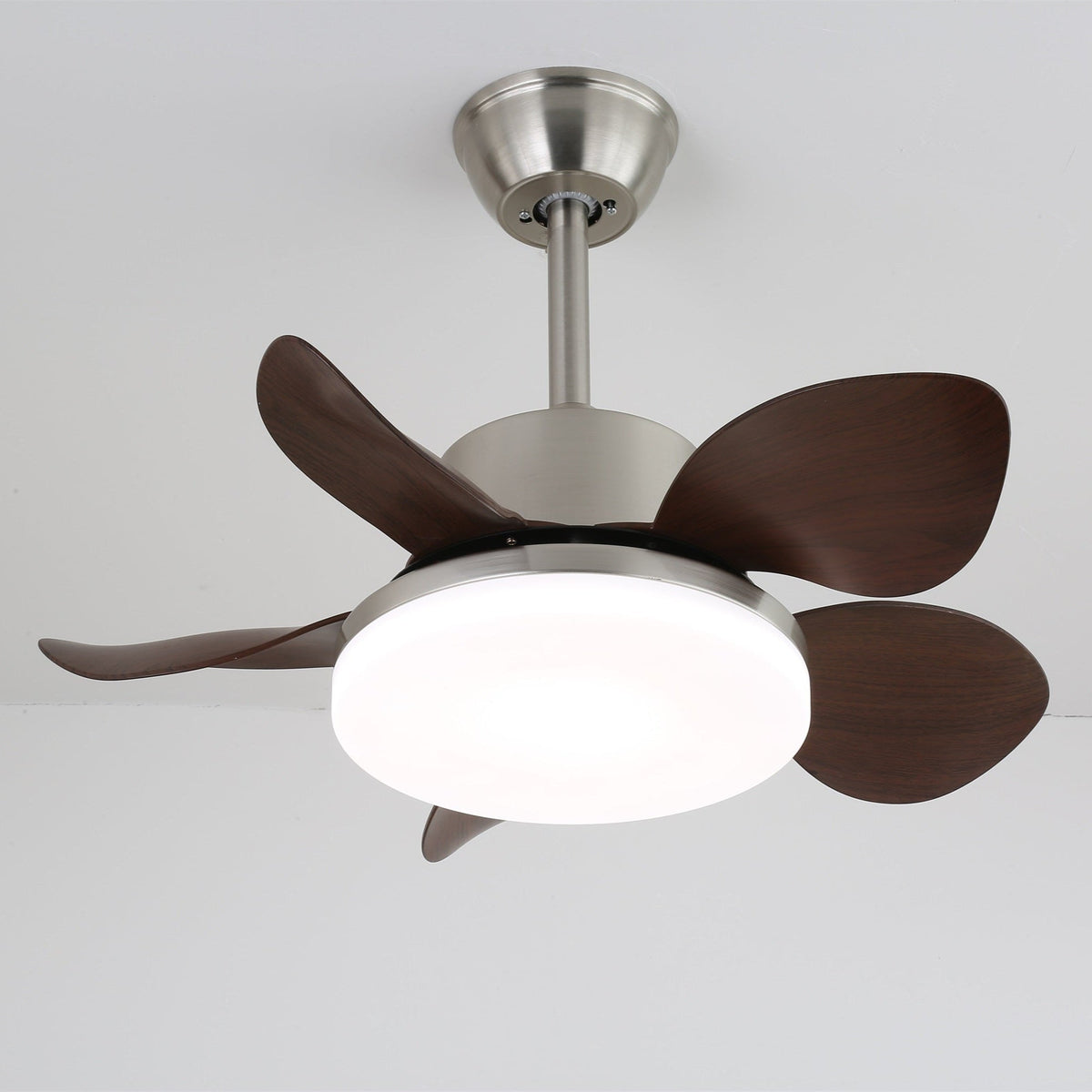 Terra Walnut Ceiling Fan Light