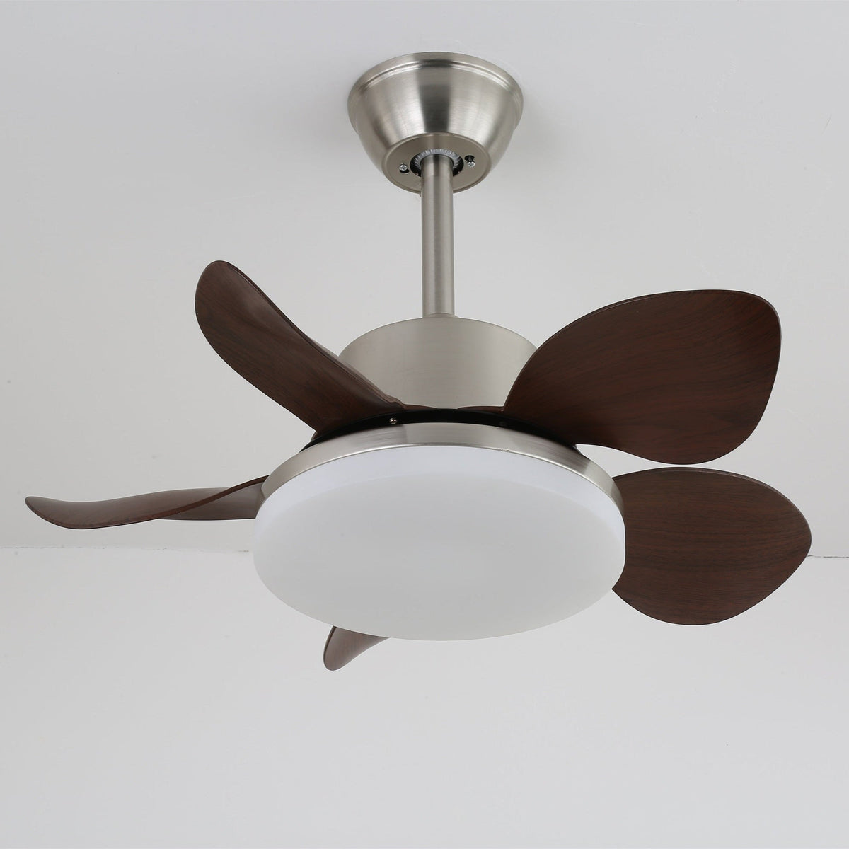 Terra Walnut Ceiling Fan Light