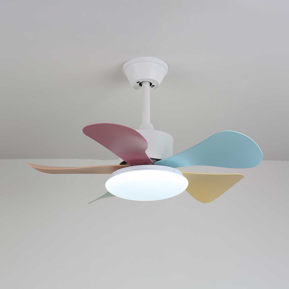 Candy Breeze Ceiling Fan Light