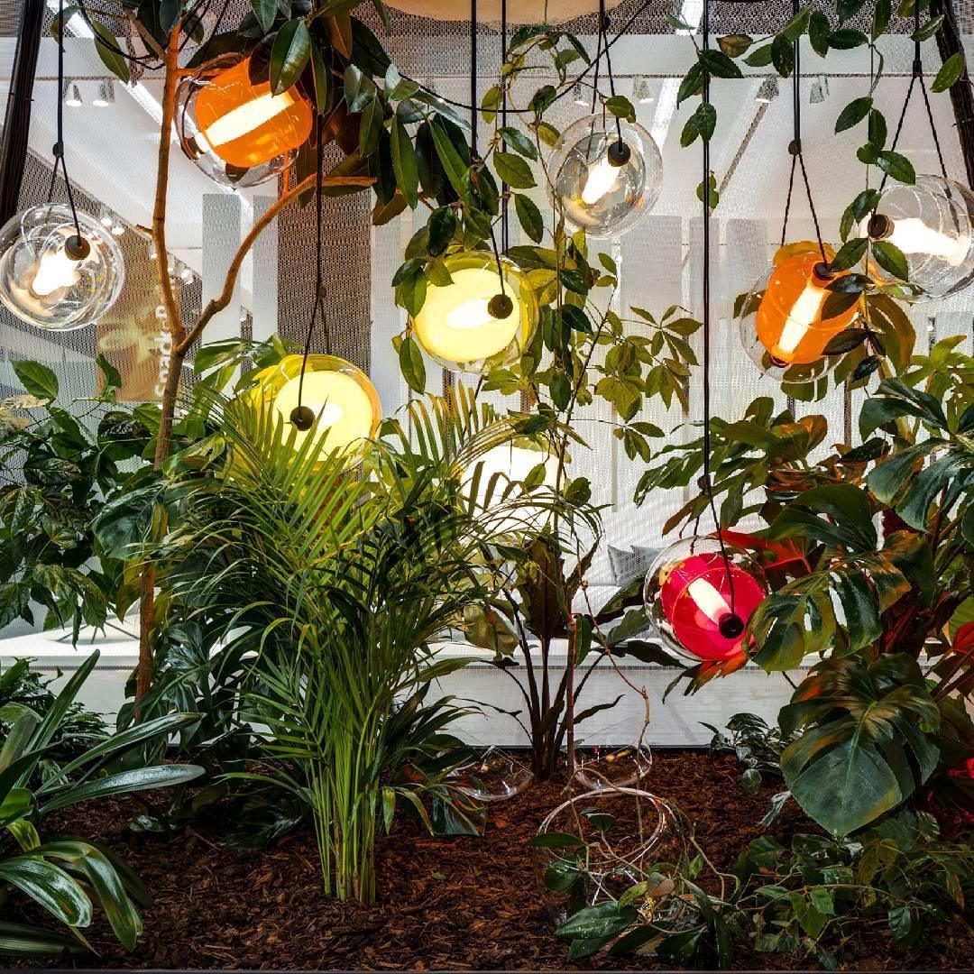 Cello Glass Pendant Light