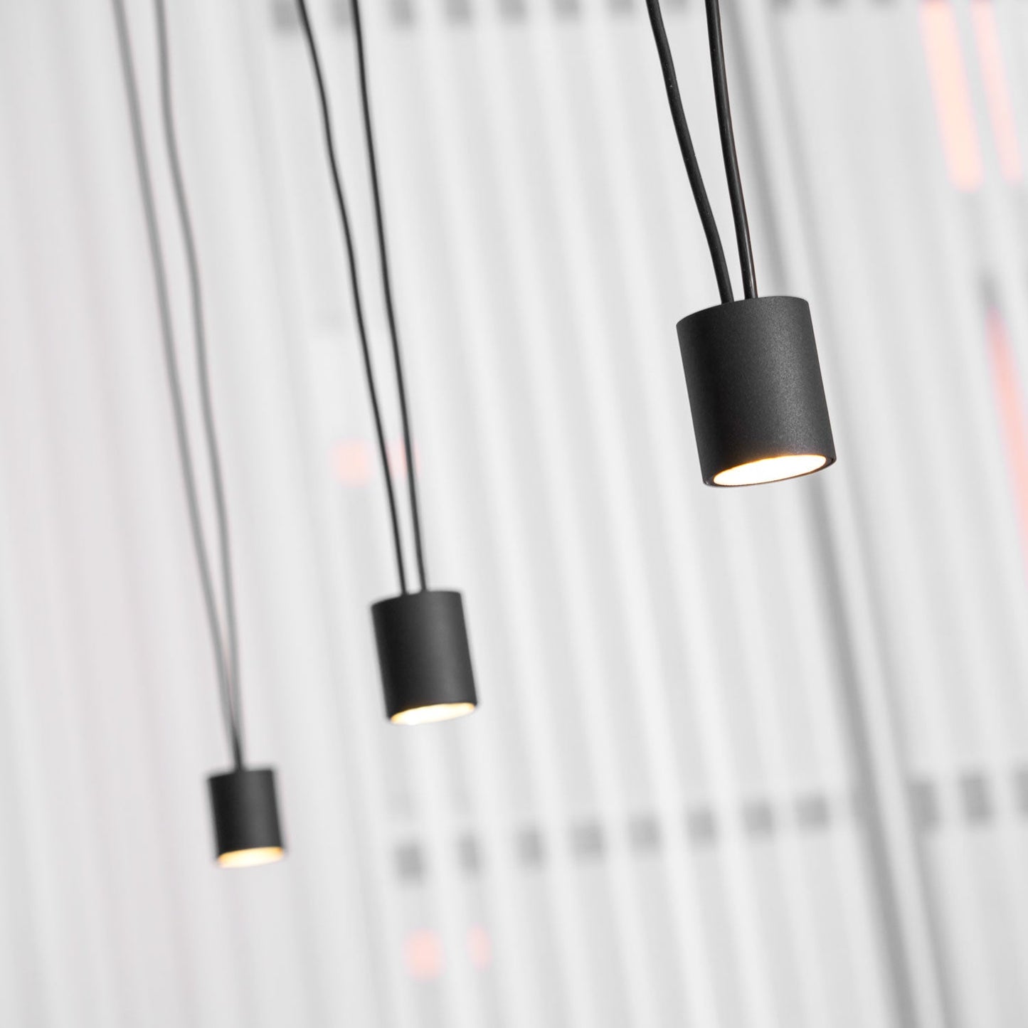 Collection Pendant Lamp