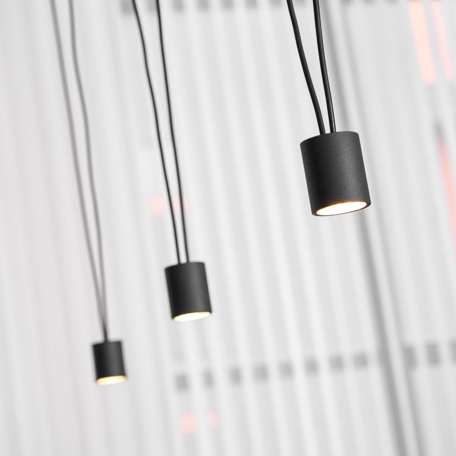 Collection Pendant Lamp