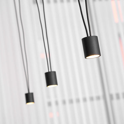 Collection Pendant Lamp
